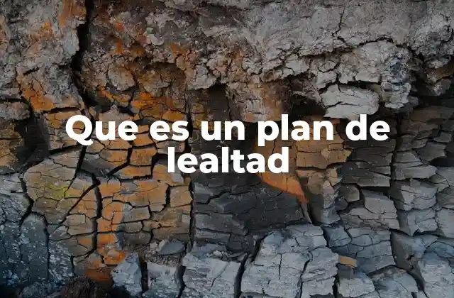 Que es un Plan de Lealtad