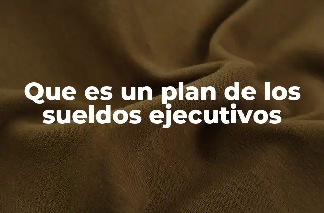 Que es un Plan de los Sueldos Ejecutivos