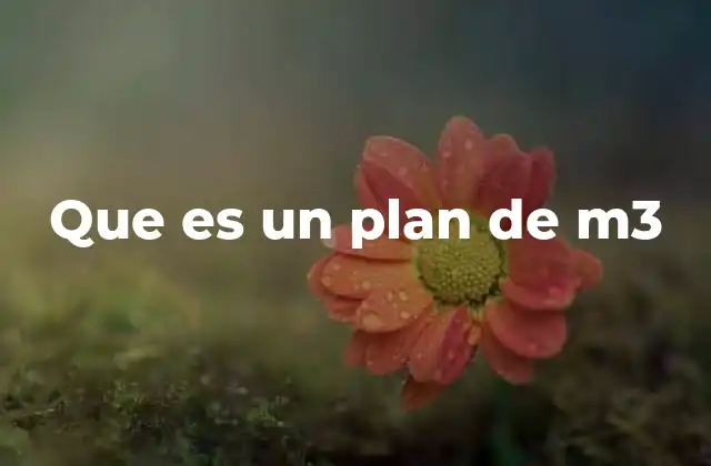 Que es un Plan de M3