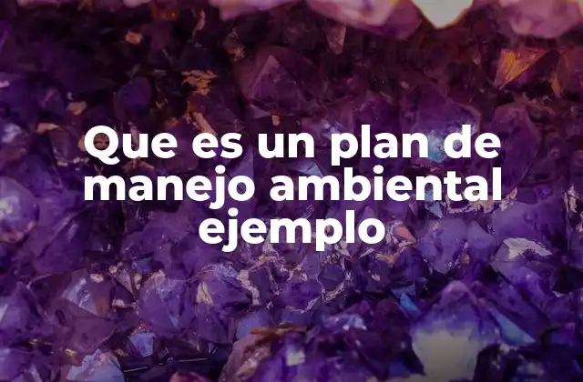 Que es un Plan de Manejo Ambiental Ejemplo