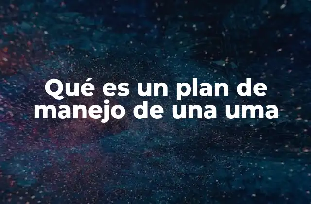 Qué es un Plan de Manejo de una Uma