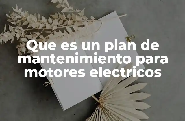 Que es un Plan de Mantenimiento para Motores Electricos