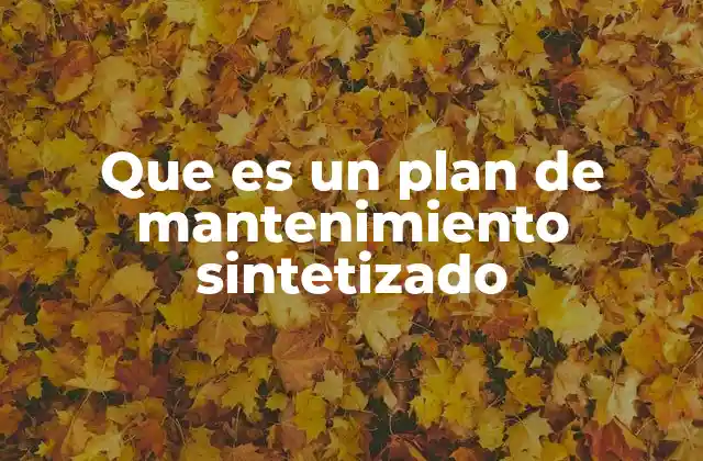 Que es un Plan de Mantenimiento Sintetizado 2 La importancia de integrar estrategias de mantenimiento