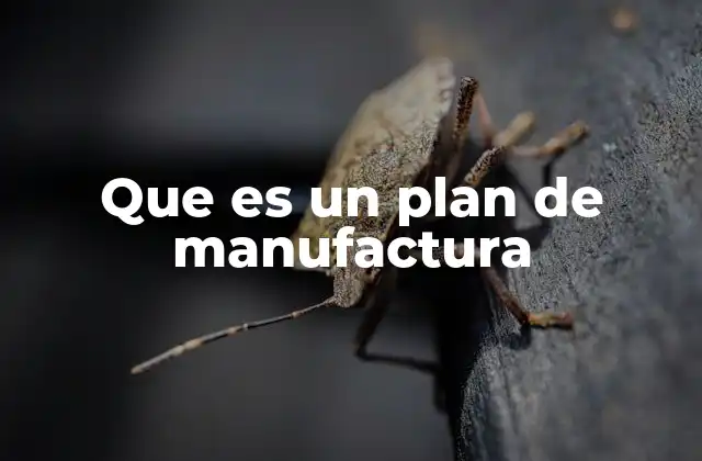Que es un Plan de Manufactura