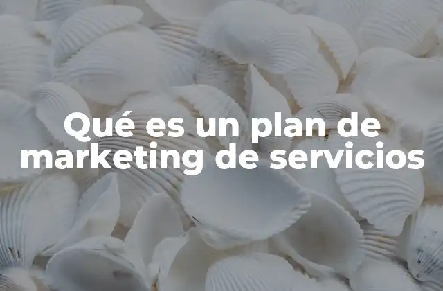 Qué es un Plan de Marketing de Servicios