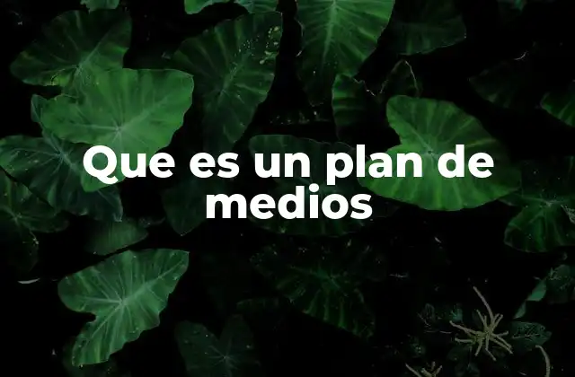 Que es un Plan de Medios