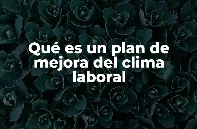 Qué es un Plan de Mejora Del Clima Laboral