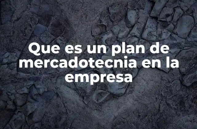 Que es un Plan de Mercadotecnia en la Empresa