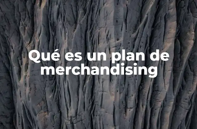 Qué es un Plan de Merchandising