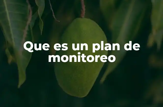 Que es un Plan de Monitoreo