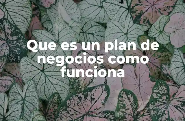 La importancia del plan de negocios en la toma de decisiones empresariales