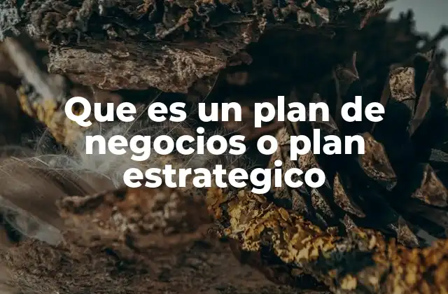 Que es un Plan de Negocios o Plan Estrategico
