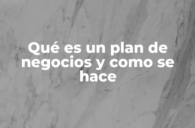 Qué es un Plan de Negocios y como Se Hace