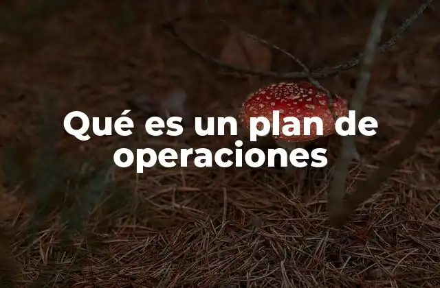 Qué es un Plan de Operaciones