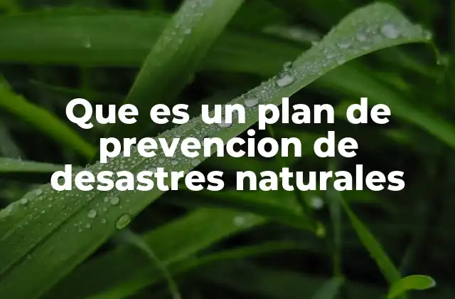 Que es un Plan de Prevencion de Desastres Naturales