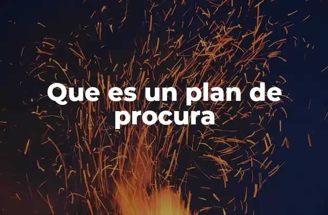 Que es un Plan de Procura