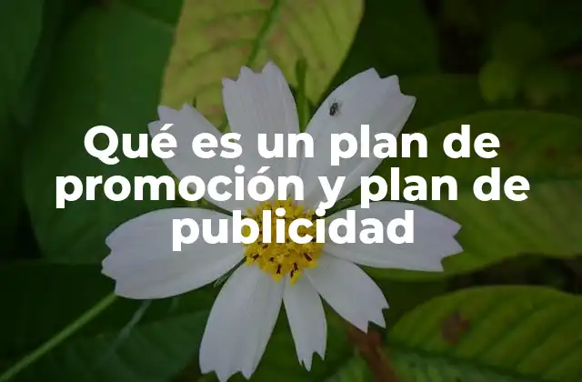 Qué es un Plan de Promoción y Plan de Publicidad 2 La importancia de una estrategia integrada de comunicación