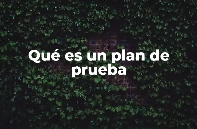 Qué es un Plan de Prueba