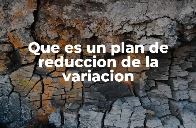 Que es un Plan de Reduccion de la Variacion