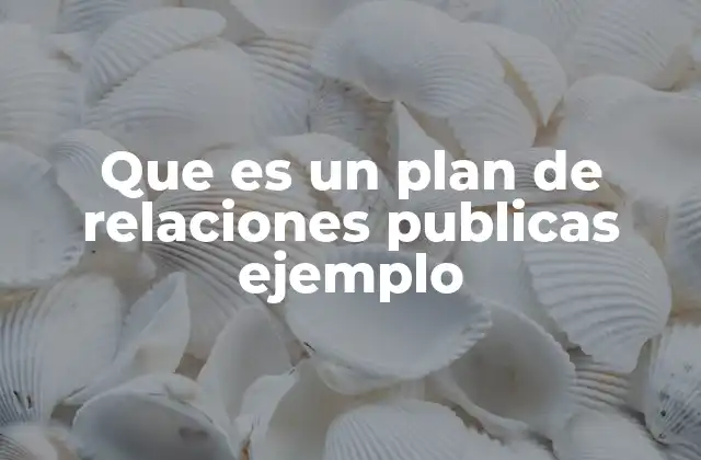 Que es un Plan de Relaciones Publicas Ejemplo
