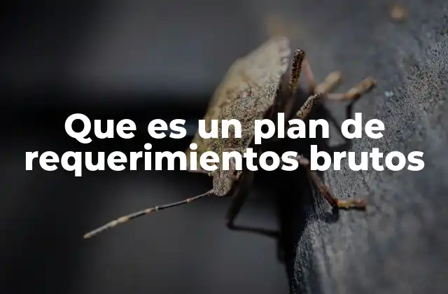 Que es un Plan de Requerimientos Brutos