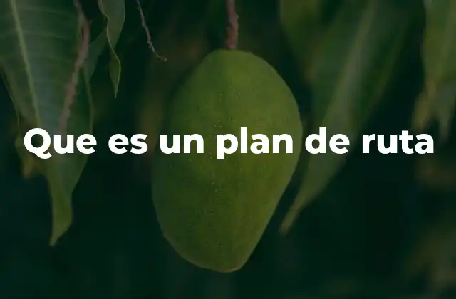 Que es un Plan de Ruta