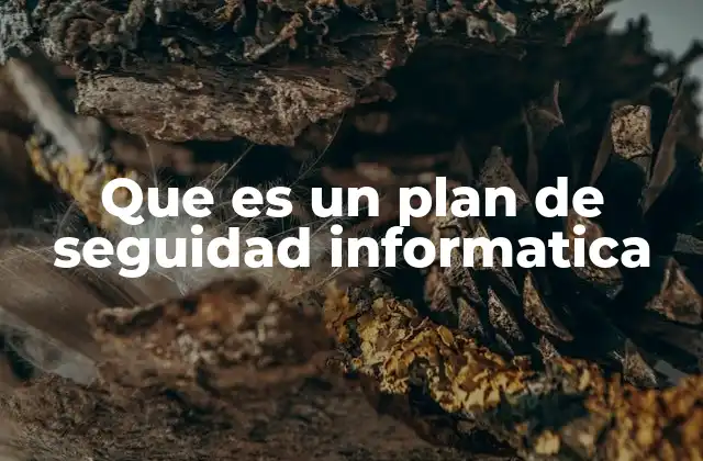Que es un Plan de Seguidad Informatica