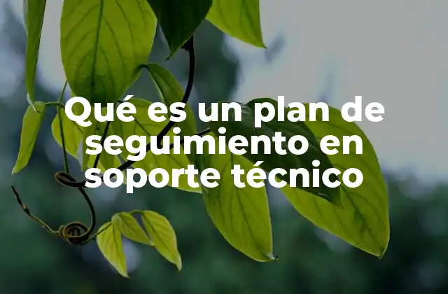 Qué es un Plan de Seguimiento en Soporte Técnico