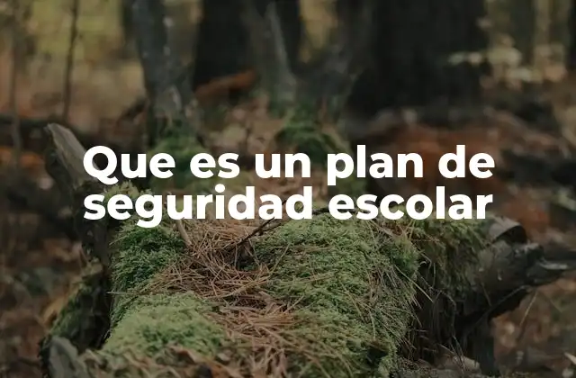 Que es un Plan de Seguridad Escolar