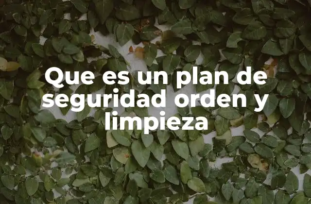 Que es un Plan de Seguridad Orden y Limpieza