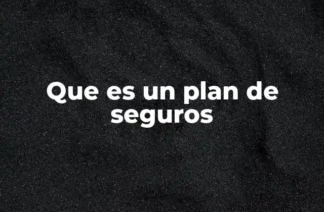 Que es un Plan de Seguros