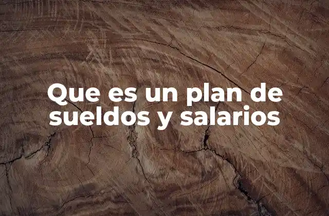 Que es un Plan de Sueldos y Salarios