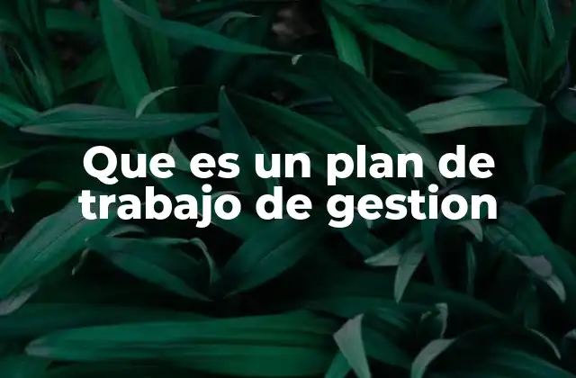 Que es un Plan de Trabajo de Gestion