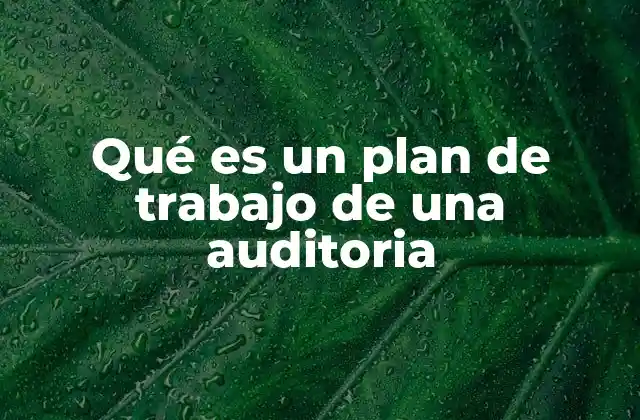 Qué es un Plan de Trabajo de una Auditoria