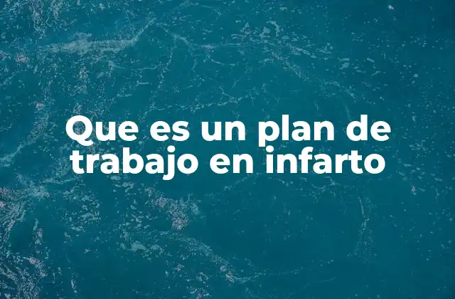Que es un Plan de Trabajo en Infarto
