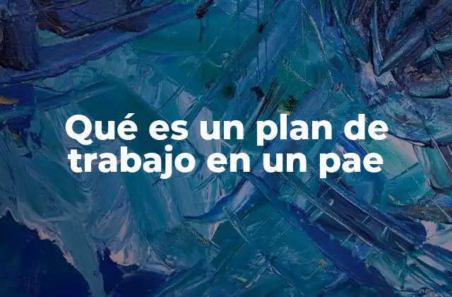 Qué es un Plan de Trabajo en un Pae