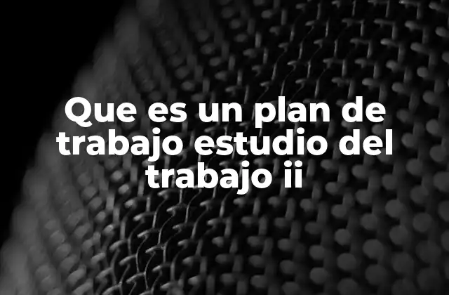 Que es un Plan de Trabajo Estudio Del Trabajo Ii