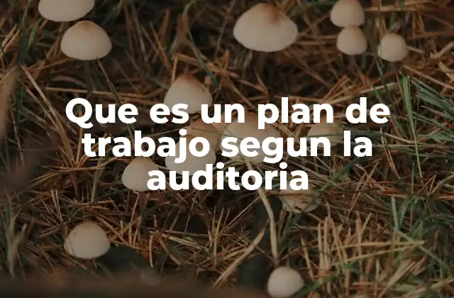 El rol del plan de trabajo en el desarrollo de una auditoría