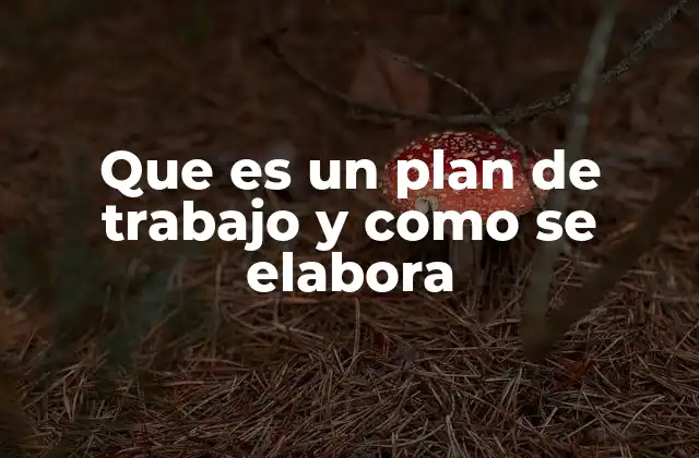 Que es un Plan de Trabajo y como Se Elabora