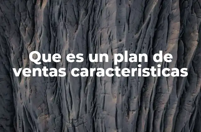 Que es un Plan de Ventas Caracteristicas