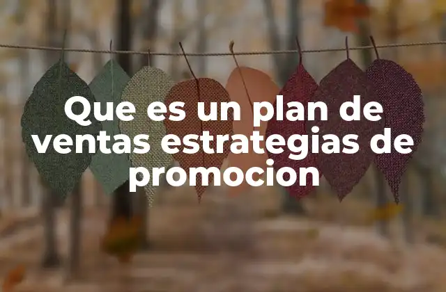 Que es un Plan de Ventas Estrategias de Promocion