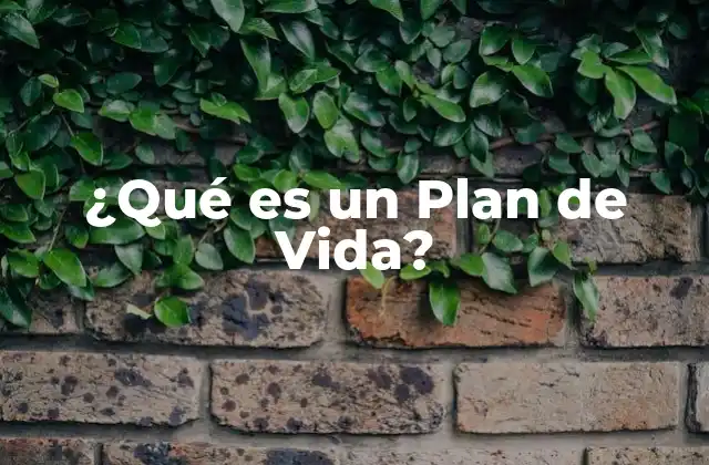 ¿Por qué es importante tener un plan de vida?