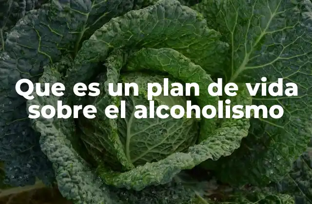 Que es un Plan de Vida sobre el Alcoholismo