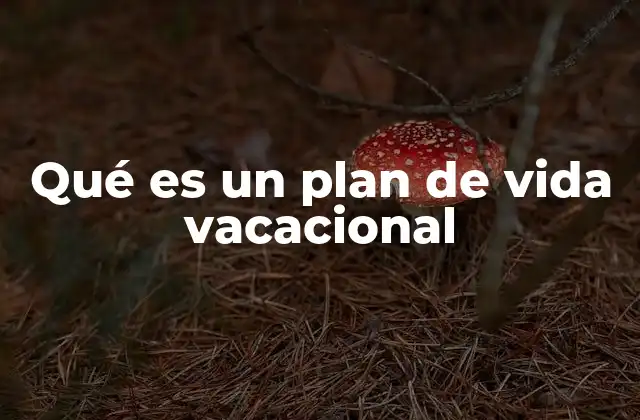 Qué es un Plan de Vida Vacacional
