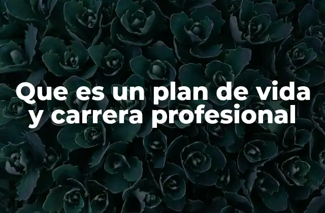 Que es un Plan de Vida y Carrera Profesional