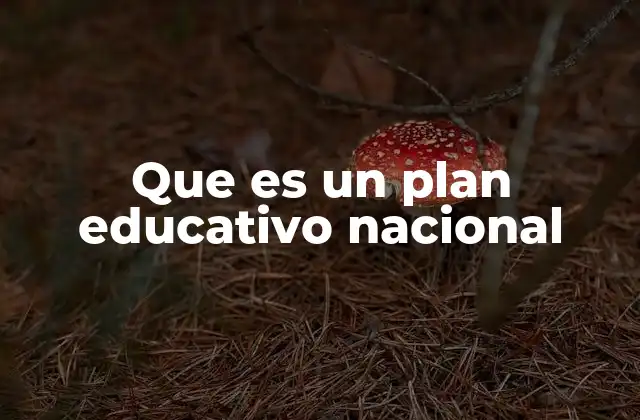 Que es un Plan Educativo Nacional