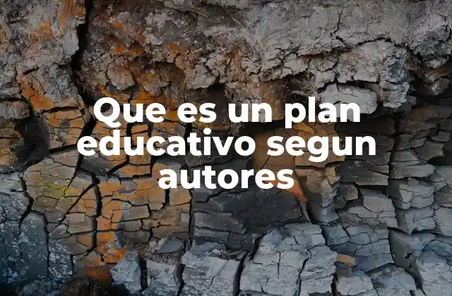 Que es un Plan Educativo Segun Autores