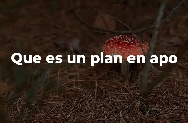 Que es un Plan en Apo