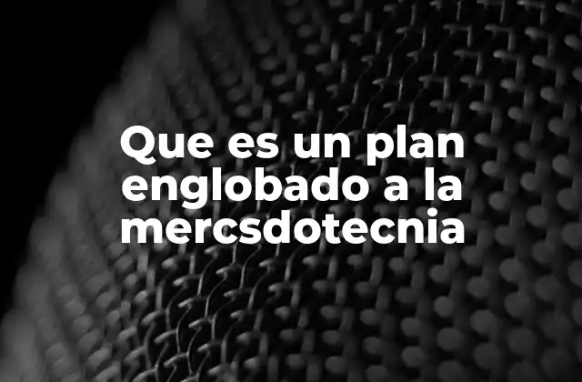 Que es un Plan Englobado a la Mercsdotecnia