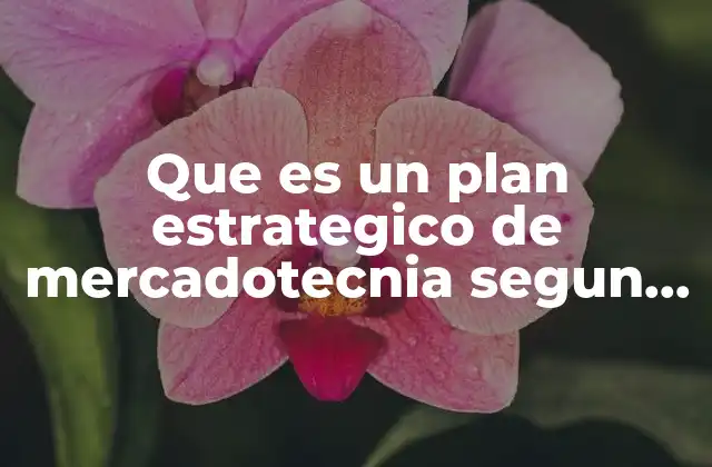 Que es un Plan Estrategico de Mercadotecnia Segun Autores
